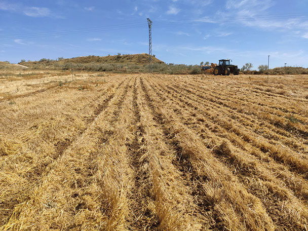 striptill con sembradora