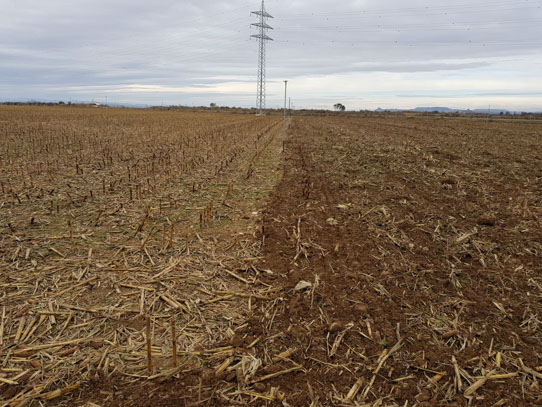 rastrojador, chisel rastrojador