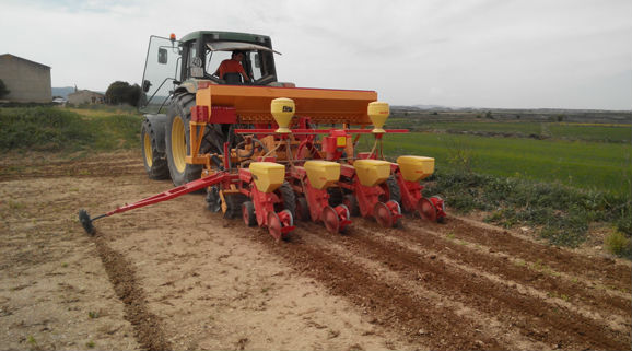 Strip Till, semis direct