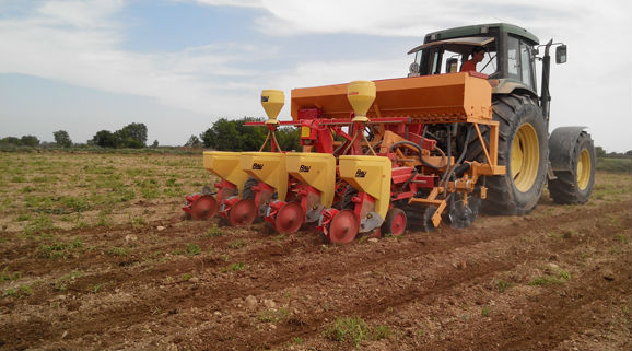 Strip Till, semis direct